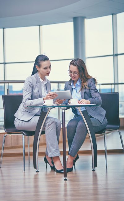 Image of two friendly businesswomen discussing computer project in office